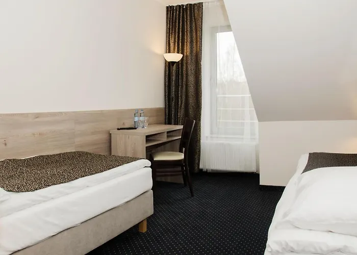 Goscinne Wip צ'שין